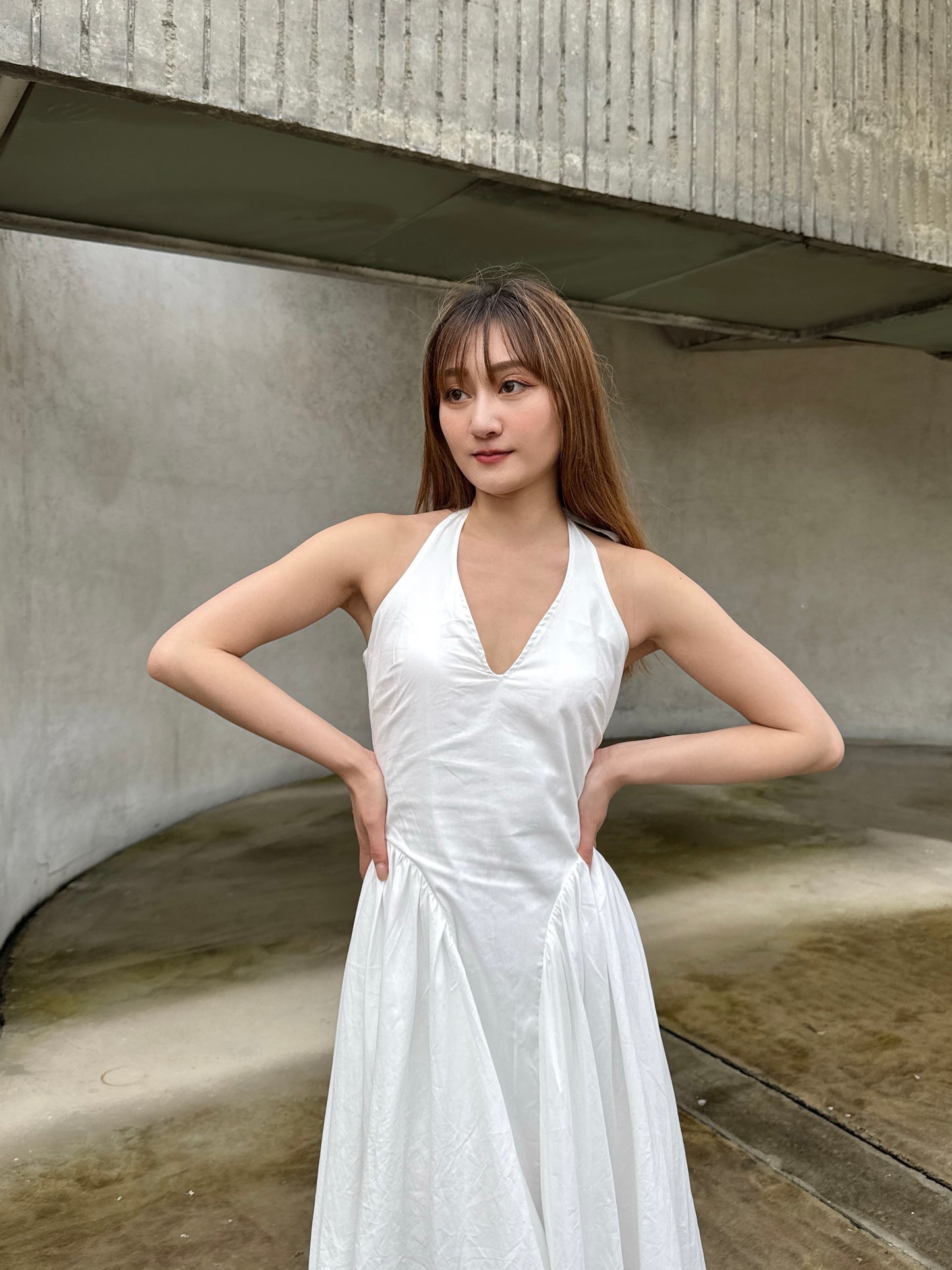 Aletris Halterneck Dress